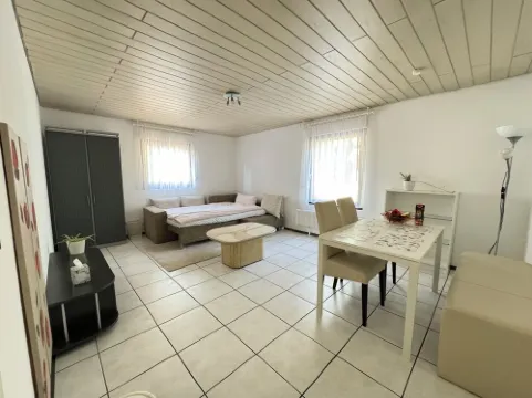 H&H Home - Quite and Central Apartment near Park in Sindelfingen