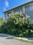 Cozy 2-bedroom apartment in charming Anchorage with WiFi 3
