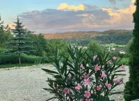 Luxury hillside villa with amazing views Hotels in Campulung