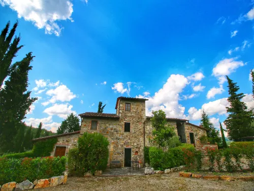 Escape to Vineyards, Elba - Homestays