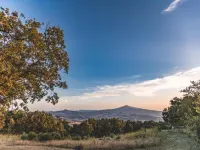Peaceful Pienza Garden Escape