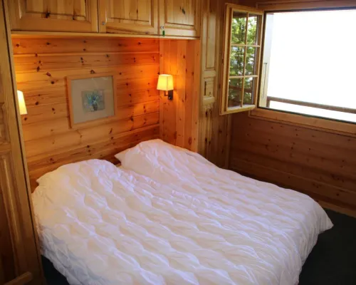 Chalet near Le Bouvere waterpark Hotels in Nendaz