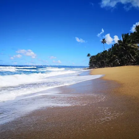 Tropical Paradise in Rincón. Stunning Views