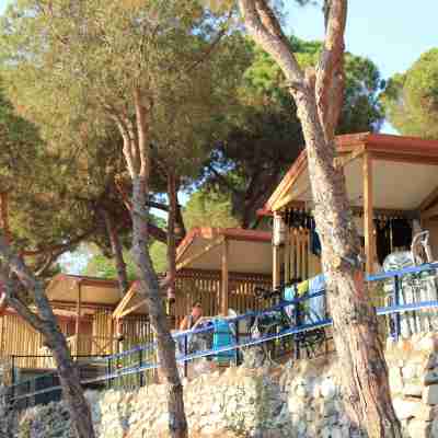 Camping Roca Grossa Hotel Exterior