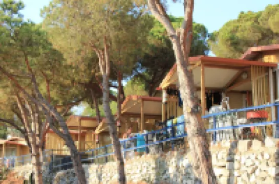 Camping Roca Grossa