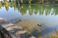 Mirror Pond 2 Bedroom Bungalow by Redawning