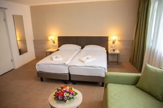Hotel Nessi Locarno