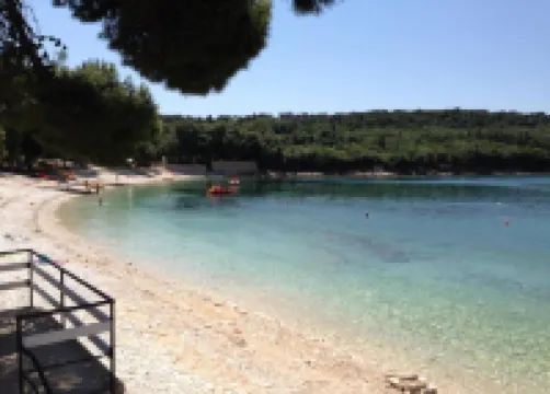Apartment With Terrace & Lovely Garden