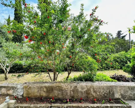 Beach House Bol Hotels in Bol