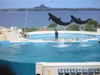 Little Island Okinawa Nago Hotels in Nago