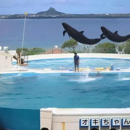 Little Island Okinawa Nago