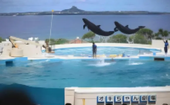 Little Island Okinawa Nago