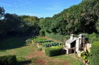 Apartment Villa Gasparini