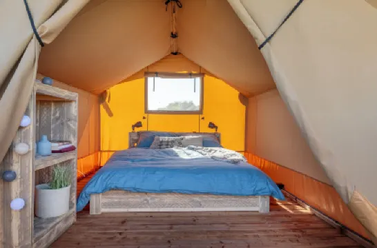 Safari Tent Near Lauwersmeer Park Hotels in 