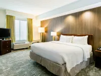 SpringHill Suites Florence Hotels in Florence