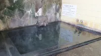 Lodge Shirokuma - Suối nước nóng