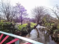 Fullers Studio - Pet friendly