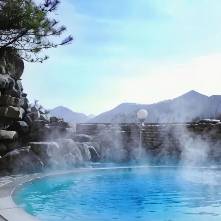 Chungju Suanbo Park Hotel