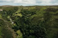 The Wilderness