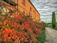 Fattoria Santa Vittoria Apartment "lepre" - Homestays