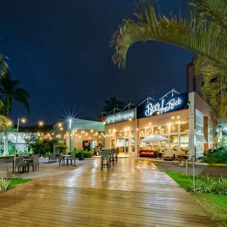 Ibis Piracicaba