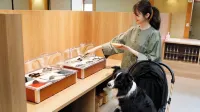 OSHUKUONSEN YUTORELOSHIZUKUISHI - breakfast