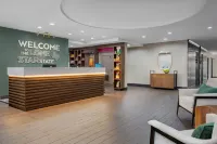 Hampton Inn & Suites Dallas-Arlington North-Entertainment District - 2 Sao