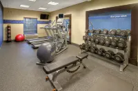 Hampton Inn & Suites Fort Myers-Estero/FGCU - Gym