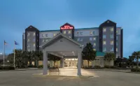 Hilton Garden Inn Lafayette/Cajundome - bar
