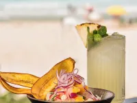 Radisson Hotel Barra Rio de Janeiro Hotels near Tijuca National Park