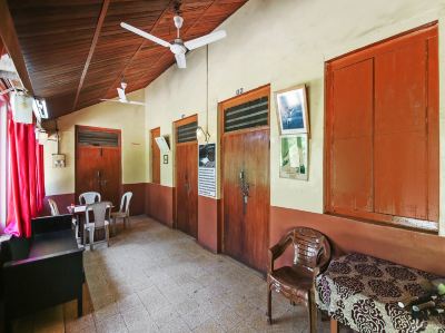 Public Areas Wild Flower Photo