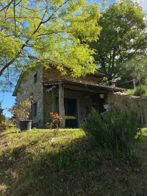 "la casetta nel bosco" Senti la natura