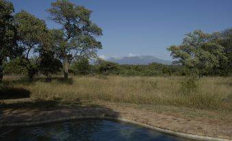 Thornybush Jackalberry Lodge