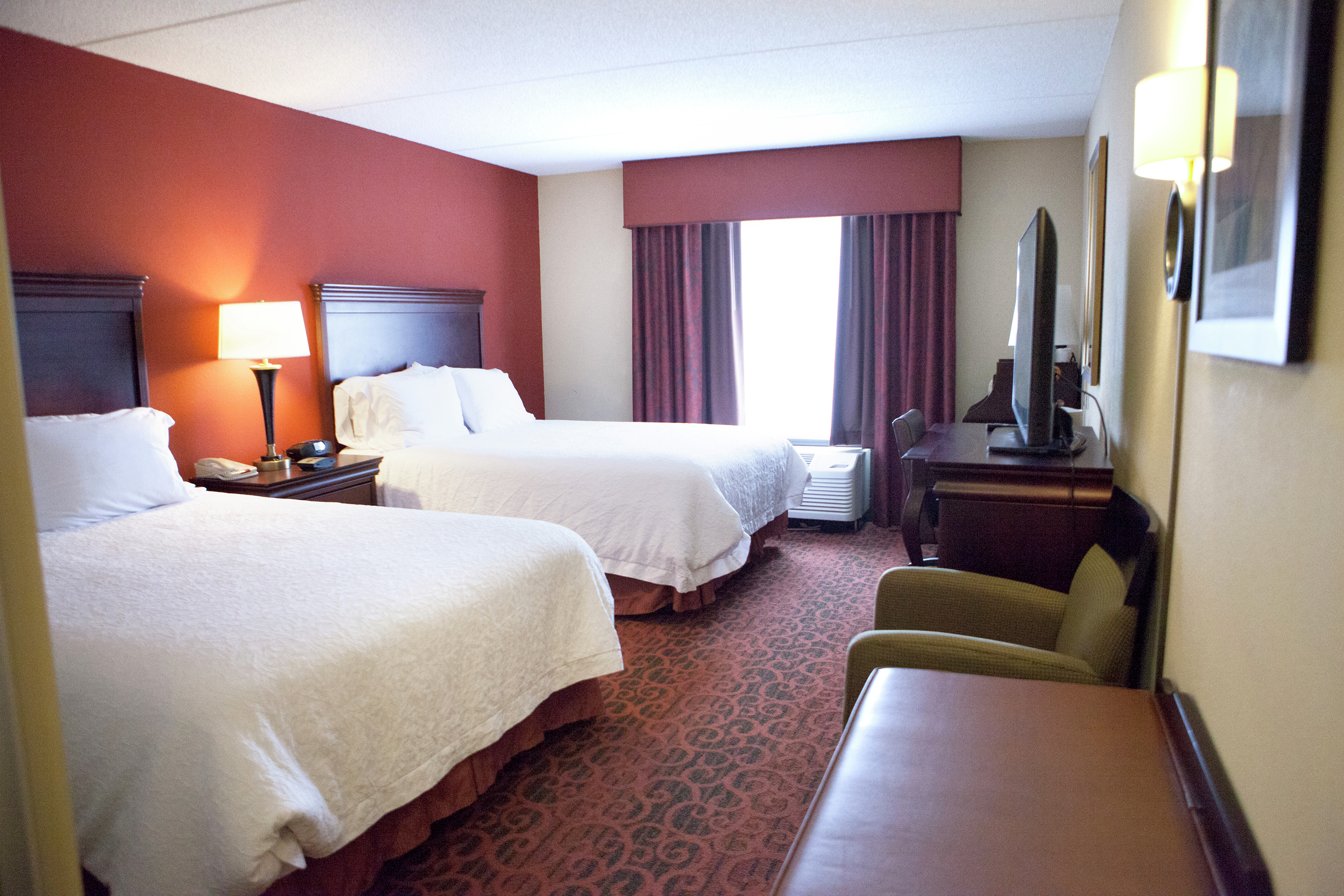 Hampton Inn Rochester-Webster