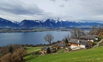 Chalet with Panoramic Views of the Mountains of the Oberland and Lake Thun