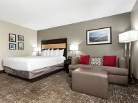 La Quinta Inn & Suites by Wyndham San Diego Mission Bay Hotels in San Diego county