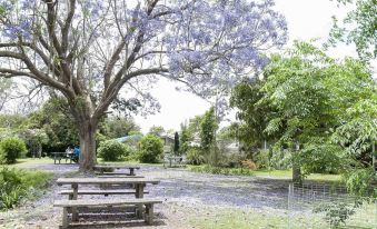 a park with trees and benches , one of which is covered in purple flowers and has a small water feature at Ulmarra Hotel