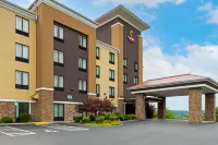 Comfort Suites Hôtels à : Kingsport
