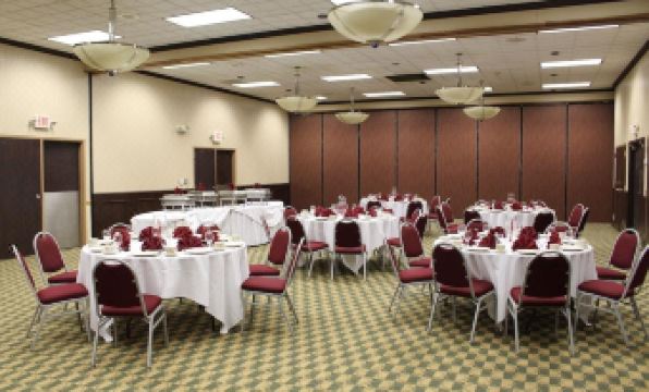 Wyndham Garden Romulus Detroit Metro Airport