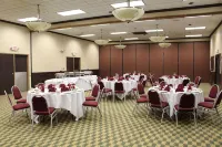 Wyndham Garden Romulus Detroit Metro Airport