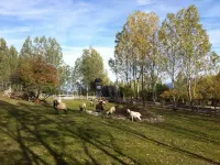 Vasilikia Mountain Farm & Retreat