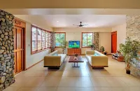 Maui Palms