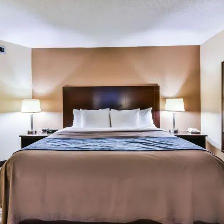 Comfort Inn & Suites Ambassador Bridge