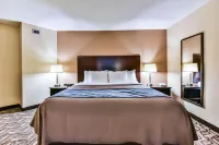 Comfort Inn & Suites Ambassador Bridge - Pools