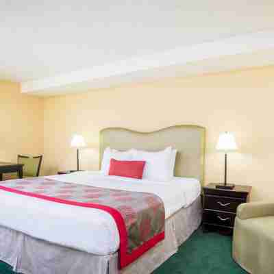 Plaza Hotel Fort Lauderdale Rooms