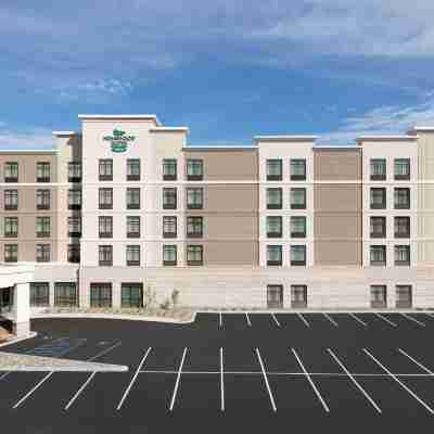 Homewood Suites by Hilton Albany Crossgates Mall Hotel Exterior