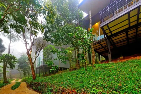 瓦亞納德野外雨林旅館-CGH地球酒店
