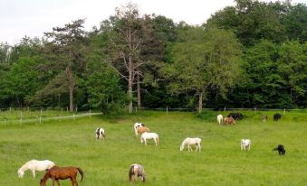 Ranch du Bel Air