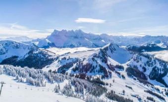 Hotel des Portes du Soleil