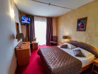 Hotel Belvedere Hotel di Predeal